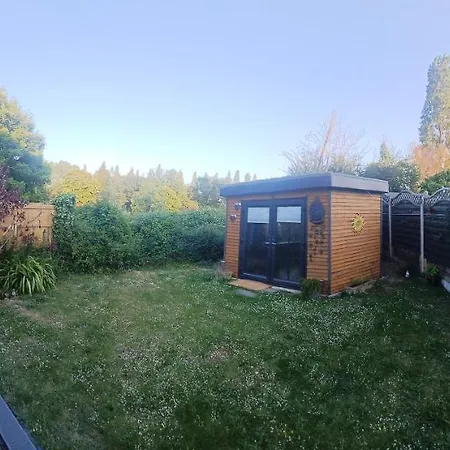 Dream View