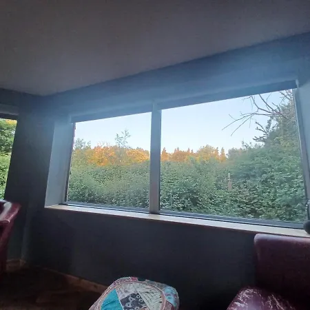 Dream View